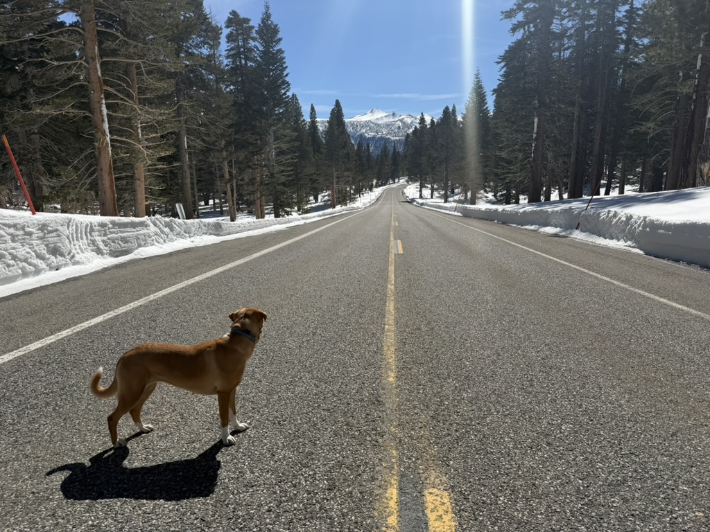 Mammoth Lakes, California